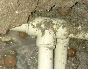 福海测漏水多少钱