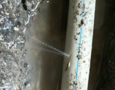 福海测漏水哪家好