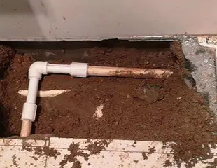 福海测漏水哪家好