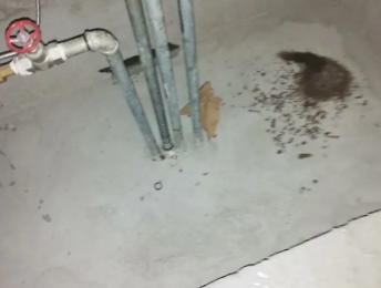 福海卫生间测漏水价格明细